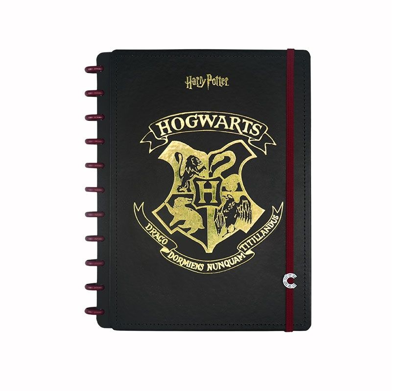 Caderno Inteligente Colegial 10m Harry Potter