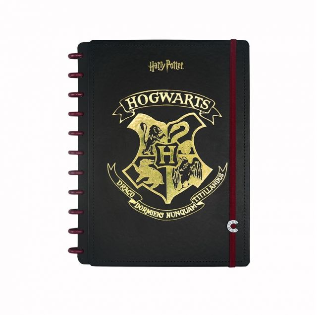 Caderno Inteligente Colegial 10m Harry Potter